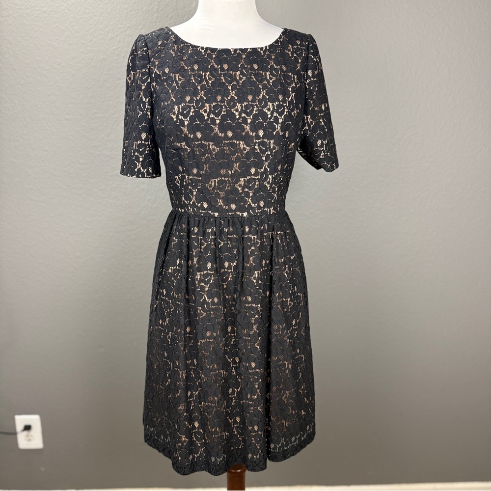 Adrianna Papell Black Tan Short Sleeve Lace A line Midi Dress Sz 8 Holiday